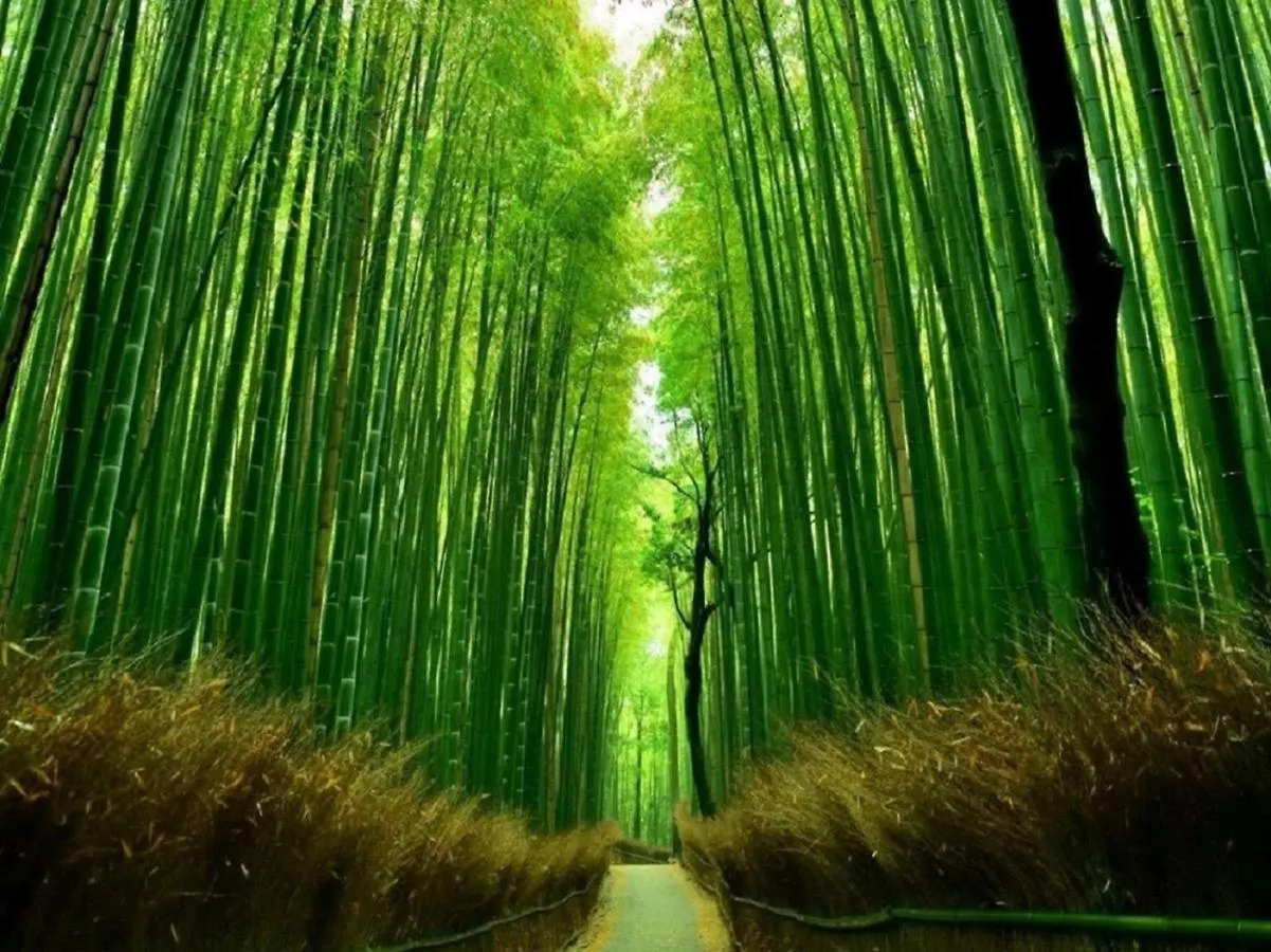 行灯離れ京都五条 Andon Hanare Kyoto Gojo 0*,